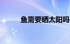 鱼需要晒太阳吗 鱼要不要晒太阳