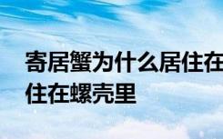 寄居蟹为什么居住在螺壳里 为什么寄居蟹居住在螺壳里