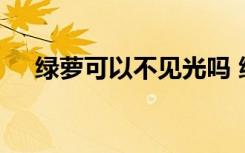 绿萝可以不见光吗 绿萝可不可以不见光