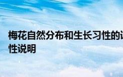 梅花自然分布和生长习性的详细介绍 梅花自然分布和生长习性说明