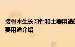 接骨木生长习性和主要用途的详细说明 接骨木生长习性和主要用途介绍