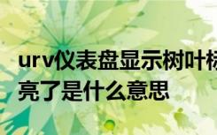 urv仪表盘显示树叶标志 汽车仪表盘树叶标志亮了是什么意思