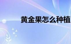 黄金果怎么种植 黄金果如何种植