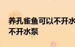 养孔雀鱼可以不开水泵吗 养孔雀鱼是否可以不开水泵