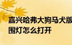 嘉兴哈弗大狗马犬版氛围灯效果 哈弗大狗氛围灯怎么打开