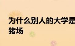 为什么别人的大学是整容院 而我却像进了养猪场