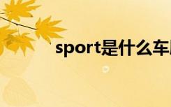 sport是什么车胎 ls是什么车胎