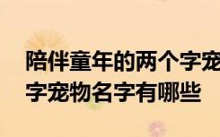 陪伴童年的两个字宠物名字 陪伴童年的两个字宠物名字有哪些