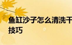 鱼缸沙子怎么清洗干净 鱼缸沙子清洗干净的技巧