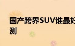 国产跨界SUV谁最好养？养护分析＋油耗实测