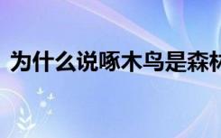 为什么说啄木鸟是森林医生 啄木鸟相关介绍