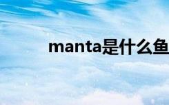 manta是什么鱼 关于蝠鲼的介绍