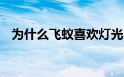 为什么飞蚁喜欢灯光 飞蚁为什么喜欢灯光