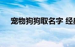 宠物狗狗取名字 经典的宠物狗狗取名字