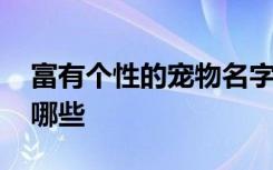 富有个性的宠物名字 富有个性的宠物名字有哪些