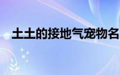 土土的接地气宠物名字 炫酷接地气宠物名