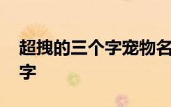 超拽的三个字宠物名字 霸气的动物名字三个字