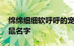 绵绵细细软呼呼的宠物松鼠名字 可爱宠物松鼠名字