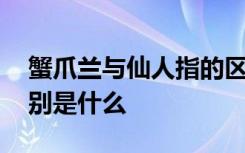 蟹爪兰与仙人指的区别 蟹爪兰和仙人指的区别是什么