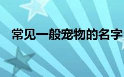 常见一般宠物的名字 性情优良宠物的名字