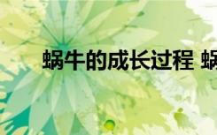 蜗牛的成长过程 蜗牛的成长过程介绍