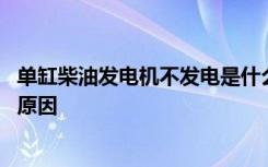 单缸柴油发电机不发电是什么原因 柴油发电机不发电是什么原因