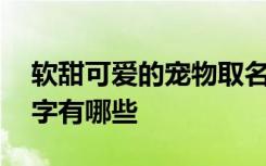 软甜可爱的宠物取名字 软甜可爱的宠物取名字有哪些