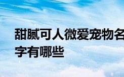 甜腻可人微爱宠物名字 甜腻可人微爱宠物名字有哪些