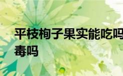 平枝栒子果实能吃吗 平枝栒子果实吃了会中毒吗