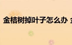 金桔树掉叶子怎么办 金桔树掉叶子如何处理