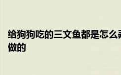 给狗狗吃的三文鱼都是怎么弄的 给狗狗吃的三文鱼都是怎么做的