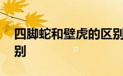 四脚蛇和壁虎的区别 四脚蛇和壁虎有什么区别