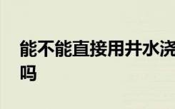 能不能直接用井水浇花 可以直接用井水浇花吗