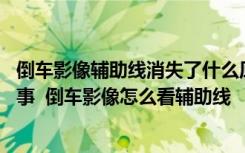 倒车影像辅助线消失了什么原因 倒车影像无视频信号怎么回事  倒车影像怎么看辅助线