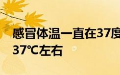 感冒体温一直在37度左右 人的体温为什么是37℃左右