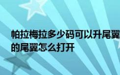 帕拉梅拉多少码可以升尾翼 帕拉梅拉油箱多少升 帕拉梅拉的尾翼怎么打开