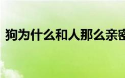 狗为什么和人那么亲密 狗怎么和人那么亲密