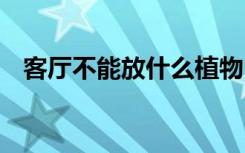 客厅不能放什么植物 客厅不能放哪些植物