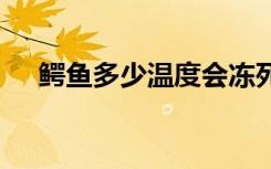 鳄鱼多少温度会冻死 鳄鱼多少度会冻死