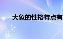 大象的性格特点有哪些 大象性格如何