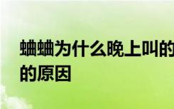 蛐蛐为什么晚上叫的厉害 蛐蛐晚上叫的厉害的原因