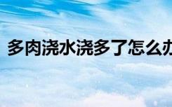 多肉浇水浇多了怎么办 多肉浇水浇多了咋办