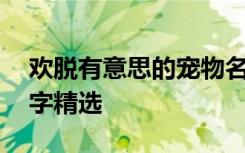 欢脱有意思的宠物名字 欢脱有意思的宠物名字精选