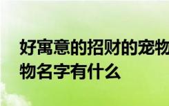 好寓意的招财的宠物名字 好寓意的招财的宠物名字有什么