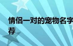 情侣一对的宠物名字 情侣一对的宠物名字推荐