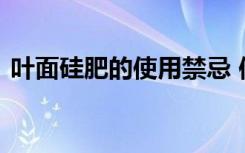 叶面硅肥的使用禁忌 使用叶面硅肥注意什么