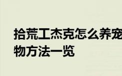 拾荒工杰克怎么养宠物 拾荒工杰克怎么养宠物方法一览