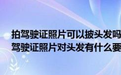 拍驾驶证照片可以披头发吗 拍驾驶证照片有什么要求吗 拍驾驶证照片对头发有什么要求