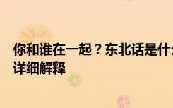 你和谁在一起？东北话是什么意思？你和谁在一起？含义的详细解释