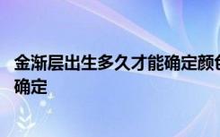 金渐层出生多久才能确定颜色 金渐层的颜色可以在什么时候确定